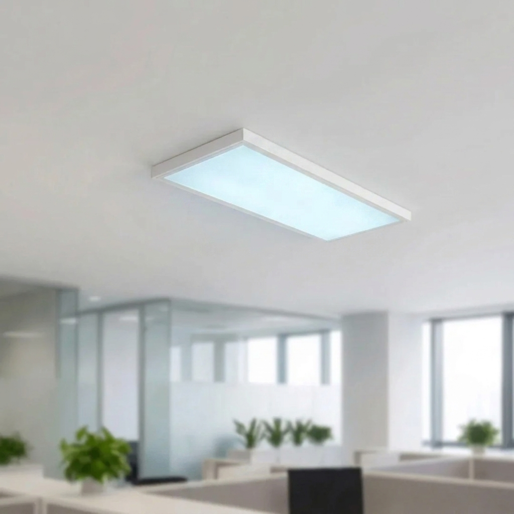 Panou LED 30x60cm Aplicat - 24W, Lumina Rece 6500K, Montaj Direct